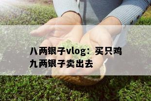 八两银子vlog：买只鸡九两银子卖出去