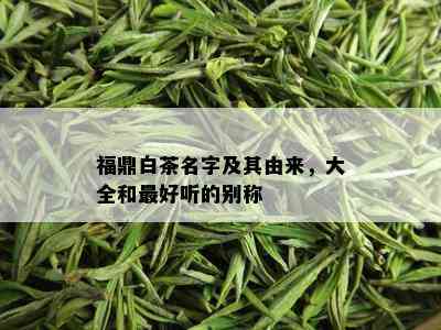 福鼎白茶名字及其由来，大全和更好听的别称