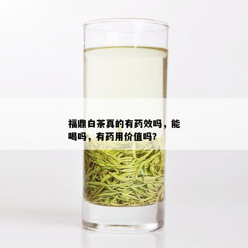 福鼎白茶真的有药效吗，能喝吗，有药用价值吗？