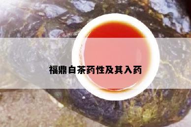 福鼎白茶药性及其入药