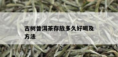 古树普洱茶存放多久好喝及方法