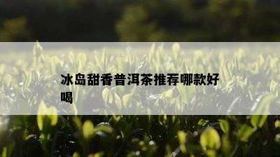 冰岛甜香普洱茶推荐哪款好喝