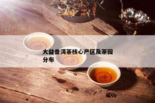 大益普洱茶核心产区及茶园分布