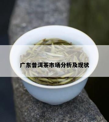 广东普洱茶市场分析及现状