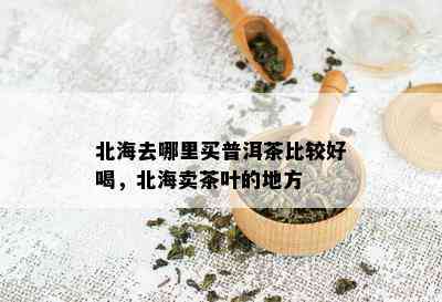 北海去哪里买普洱茶比较好喝，北海卖茶叶的地方