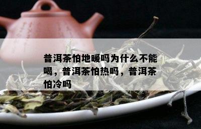 普洱茶怕地暖吗为什么不能喝，普洱茶怕热吗，普洱茶怕冷吗