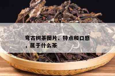 弯古树茶图片、特点和口感，属于什么茶