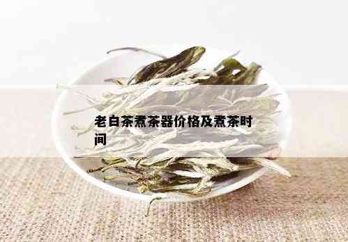 老白茶煮茶器价格及煮茶时间