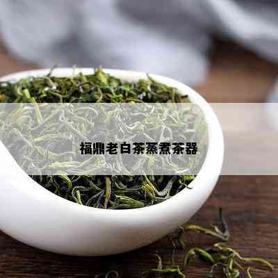 福鼎老白茶蒸煮茶器