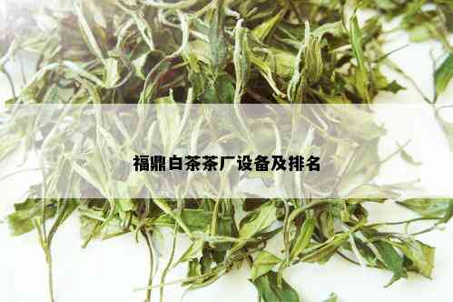 福鼎白茶茶厂设备及排名