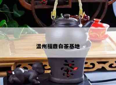 温州福鼎白茶基地