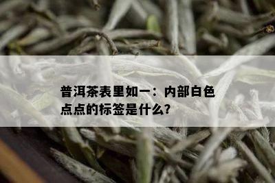 普洱茶表里如一：内部白色点点的标签是什么？