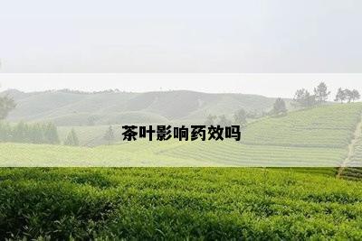 茶叶影响药效吗