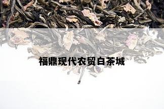 福鼎现代农贸白茶城