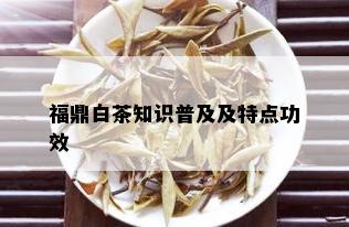 福鼎白茶知识普及及特点功效