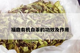 福鼎有机白茶的功效及作用