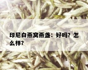 印尼白燕窝燕盏：好吗？怎么样？