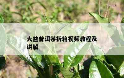 大益普洱茶拆箱视频教程及讲解