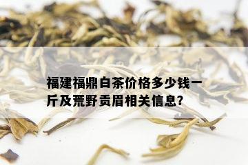 福建福鼎白茶价格多少钱一斤及荒野贡眉相关信息？