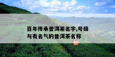 百年传承普洱茶名字,号级与有名气的普洱茶名称