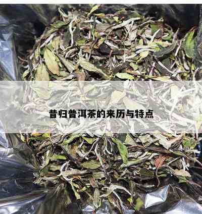 昔归普洱茶的来历与特点