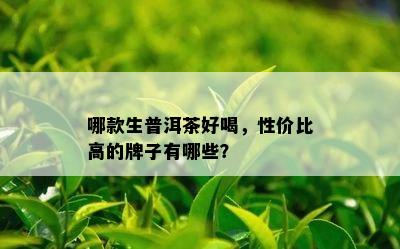 哪款生普洱茶好喝，性价比高的牌子有哪些？