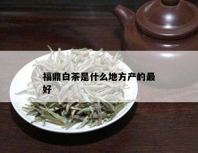 福鼎白茶是什么地方产的更好