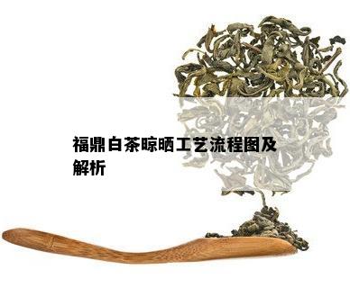 福鼎白茶晾晒工艺流程图及解析