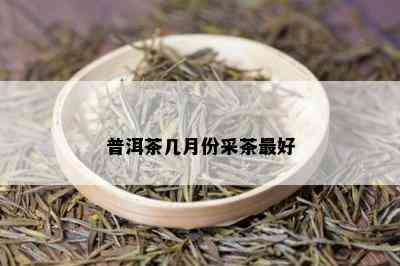 普洱茶几月份采茶更好