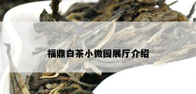 福鼎白茶小微园展厅介绍