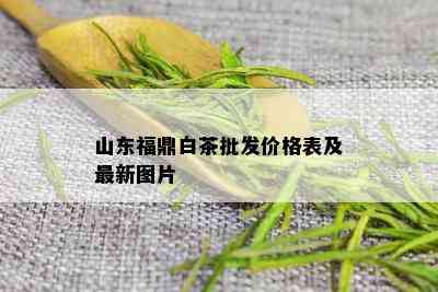 山东福鼎白茶批发价格表及最新图片