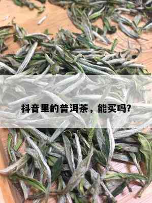 抖音里的普洱茶，能买吗？