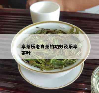 享茶乐老白茶的功效及乐享茶叶