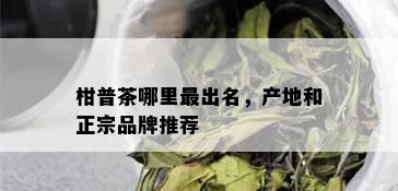 柑普茶哪里最出名，产地和正宗品牌推荐