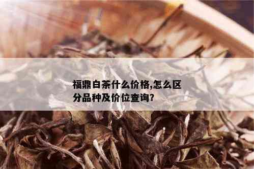 福鼎白茶什么价格,怎么区分品种及价位查询？