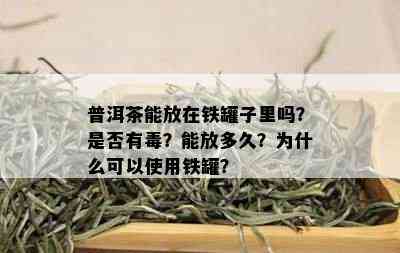 普洱茶能放在铁罐子里吗？是否有？能放多久？为什么可以使用铁罐？