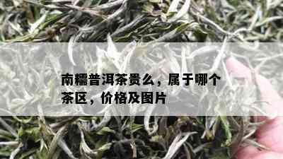 南糯普洱茶贵么，属于哪个茶区，价格及图片