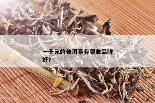 一千元的普洱茶有哪些品牌好？