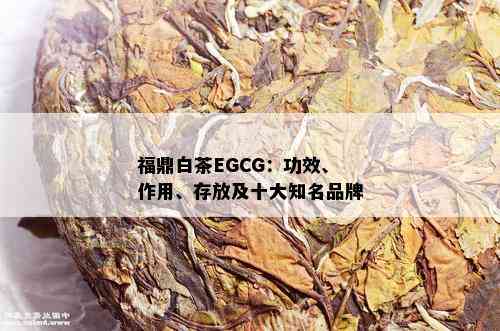 福鼎白茶EGCG：功效、作用、存放及十大知名品牌