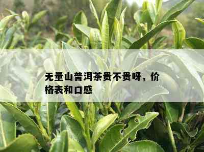 无量山普洱茶贵不贵呀，价格表和口感