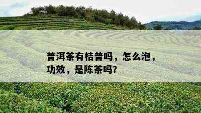 普洱茶有桔普吗，怎么泡，功效，是陈茶吗？