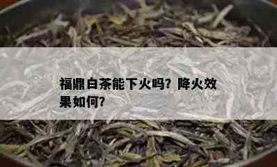 福鼎白茶能下火吗？降火效果如何？