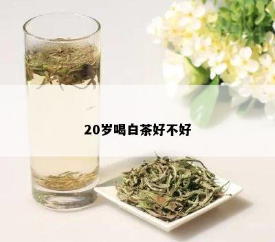 20岁喝白茶好不好