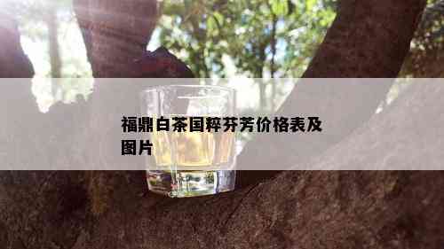 福鼎白茶国粹芬芳价格表及图片