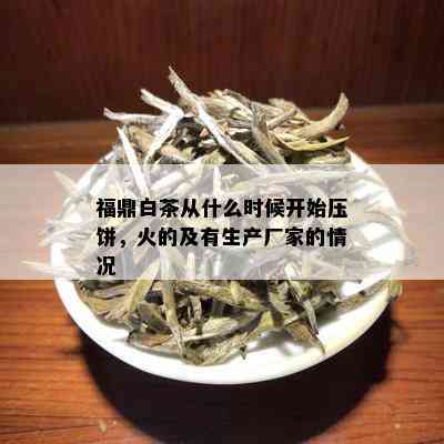 福鼎白茶从什么时候开始压饼，火的及有生产厂家的情况