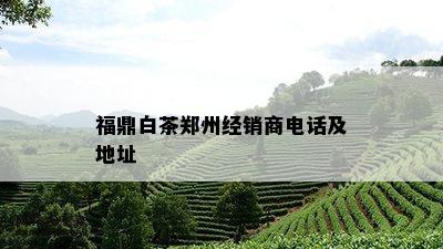 福鼎白茶郑州经销商电话及地址