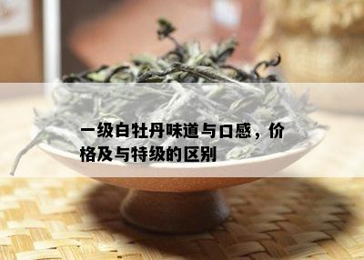 一级白牡丹味道与口感，价格及与特级的区别