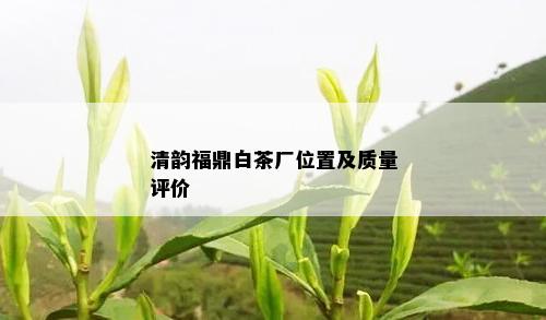 清韵福鼎白茶厂位置及质量评价