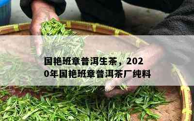 国艳班章普洱生茶，2020年国艳班章普洱茶厂纯料