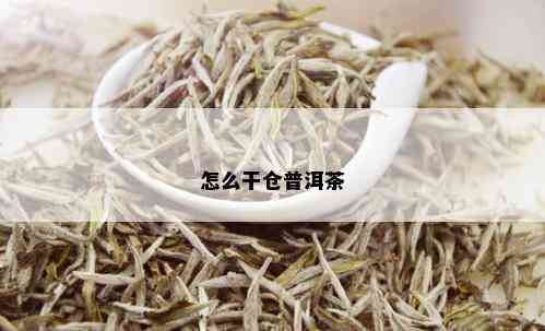 怎么干仓普洱茶